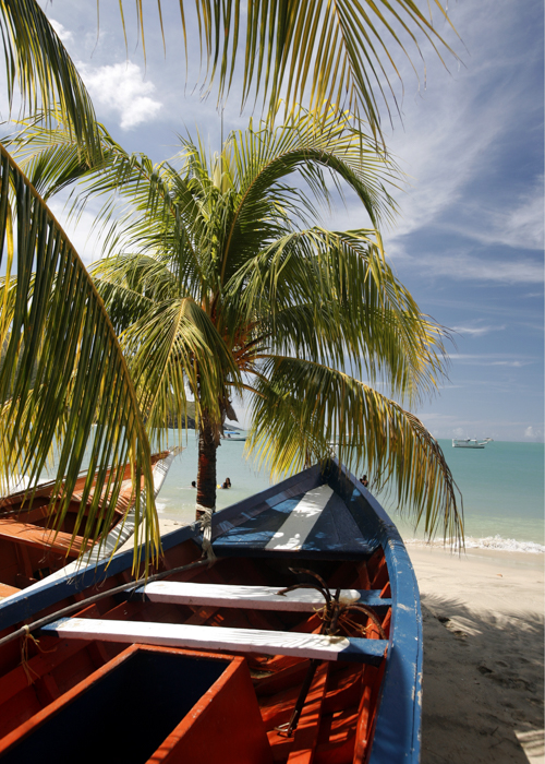 Playa Pedro Gonzalez in the town of
                Pedro Gonzalaz on the Isla Margarita by
                amnat30_Shutterstock.com