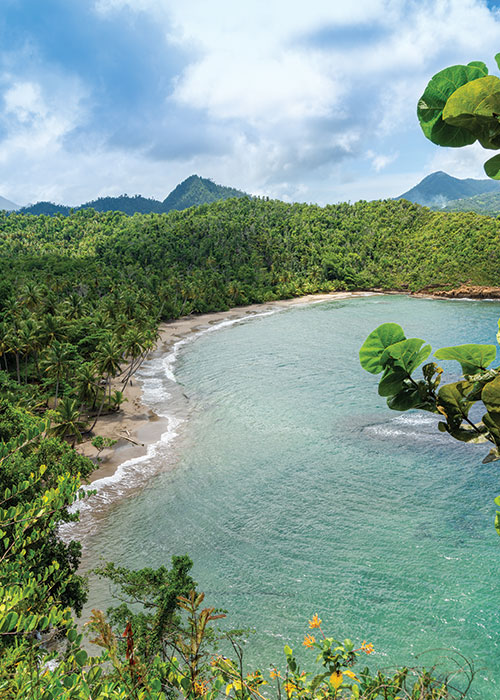 Batibou Beach by Discover Dominica Authority