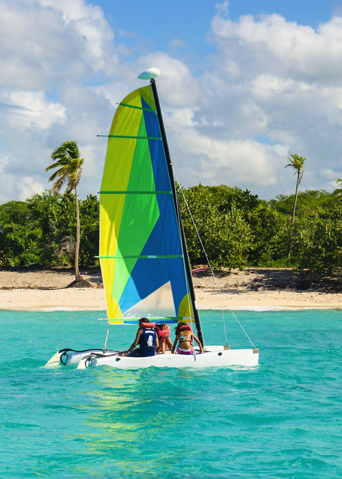 Colorful catamaran on azure water
            against azure water By Anna
            Jedynak_Shutterstock.com