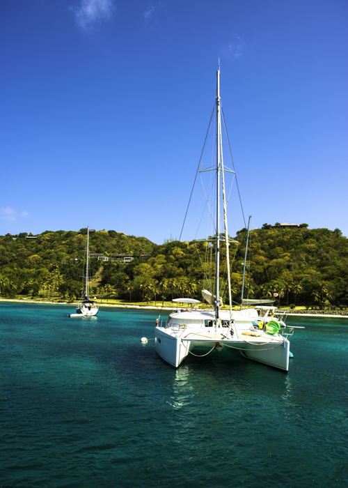 A catamaran anchored in the
                                        Grenadines By
                                        bcampbell65_Shutterstock.com