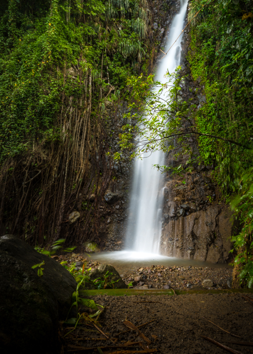 Dark view falls waterfall in Saint
                                        Vincent and the Grenadines By
                                        mbrand85_Shutterstock.com