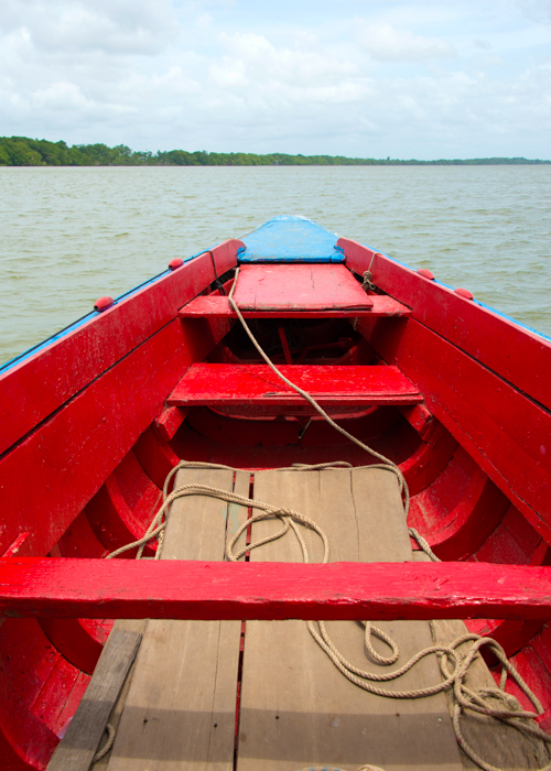 Fishing boat exploring the Suriname
                                        River by Frank by
                                        FrankvandenBergh_iStock